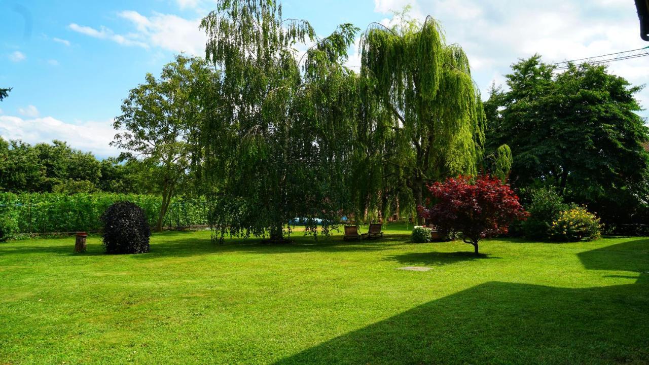Bed & Breakfast Milu Cuneo Bagian luar foto