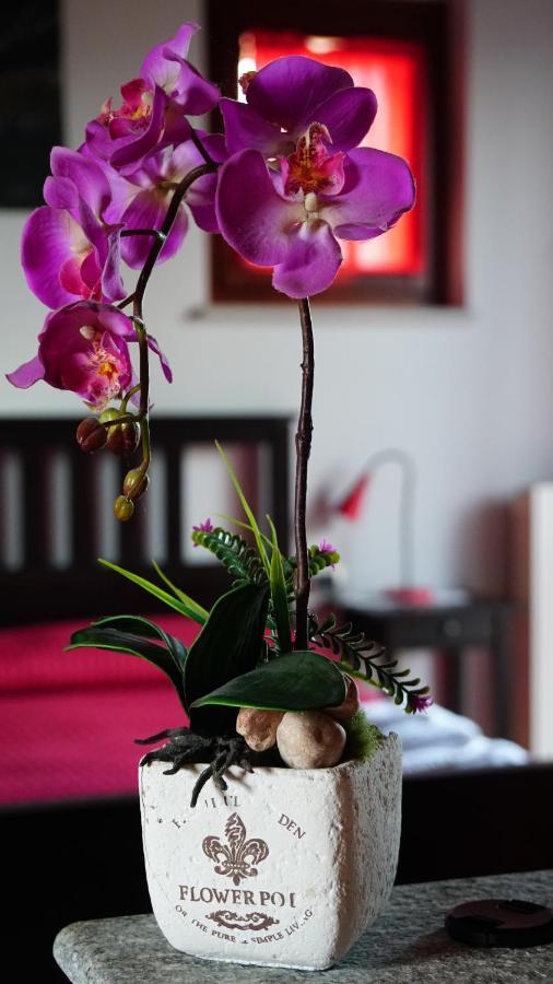 Bed & Breakfast Milu Cuneo Bagian luar foto