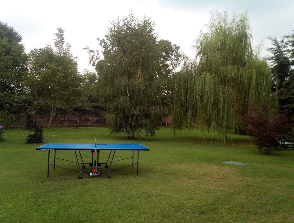 Bed & Breakfast Milu Cuneo Bagian luar foto