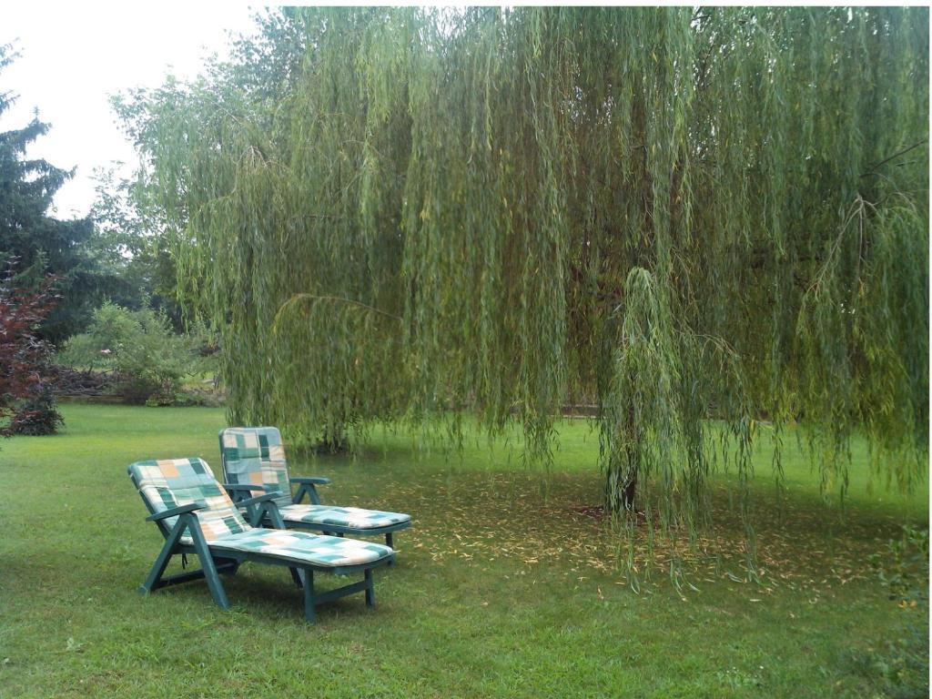 Bed & Breakfast Milu Cuneo Bagian luar foto